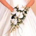 /album/bodas/bodaryt-6-jpg/